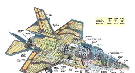 military picture: usaf f35 stealth fighter cutaway