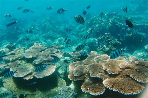 Tioman Island Package 3 Days Singapore To Tioman Island