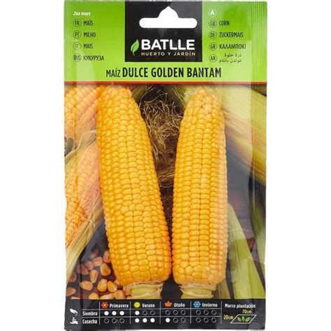 Semences Horticoles De Batlle Ma S Doux Golden Bantam G Q