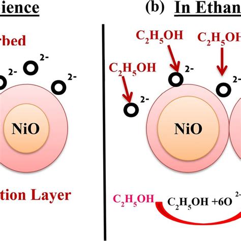 Schematic Diagram Showing Gas Sensing Mechanism Of Ga Doped Nio A