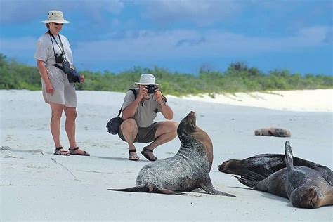 Tour Gal Pagos Por Dias Ilhas Santa Cruz E Isabela Ilhas De