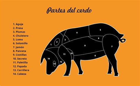 Las partes del cerdo Saber de jamón