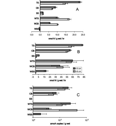 Influence Of Burrow Abundance On A Nitrification Potential B