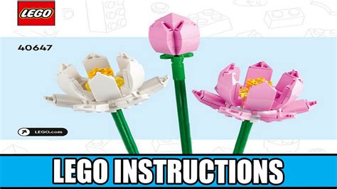 LEGO Instructions Creator 40647 Lotus Flowers YouTube