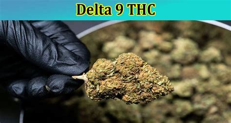 Delta 9 THC: Effects, Benefits, and Other Features: Read Here!