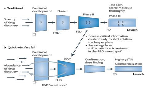 Translational Medicine Paradigms In Clinical Trials Crs Clinical