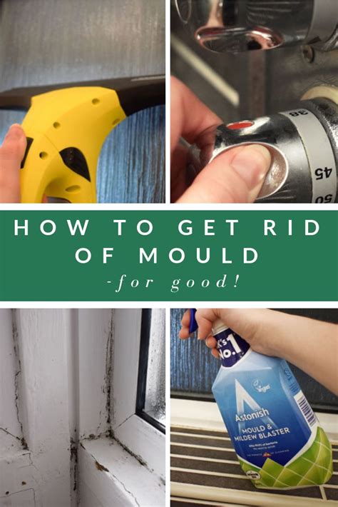 The BEST Way To Get Rid Of Mould Damp Get Rid Of Mold Mold