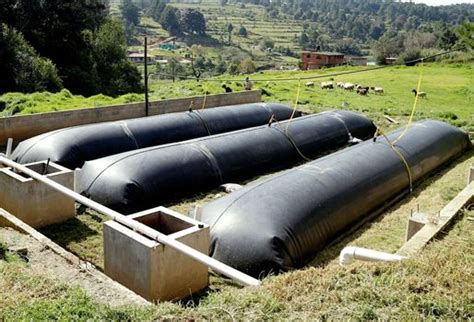 Biodigestores Comienzan A Tomar Fuerza En Colombia CONtexto Ganadero