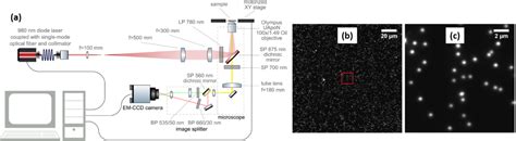 Microscopie Conversion Ascendante De Photons Olympus Plateforme D