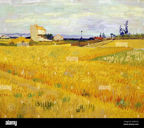 Vincent Van Gogh Wheat Field With Sheaves 1888 Stock Photo Alamy