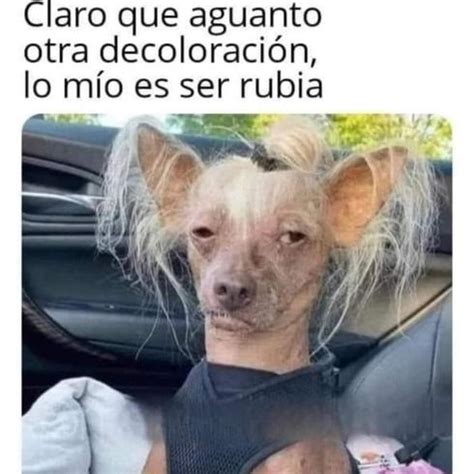 Los Mejores Memes De La Semana Primera Hora