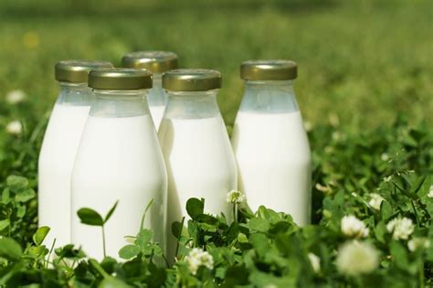 Stricter Regulations For Certified Organic Status Dairy Processing