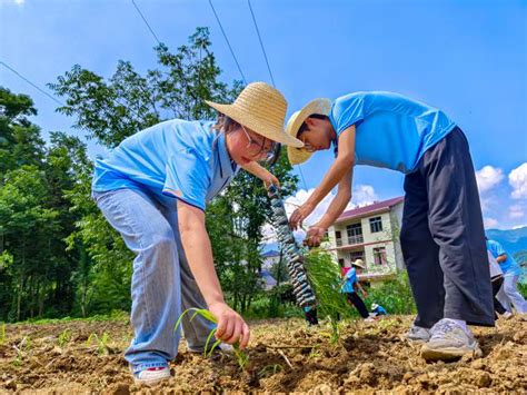 重庆工贸职业技术学院开展“三下乡”活动央广网