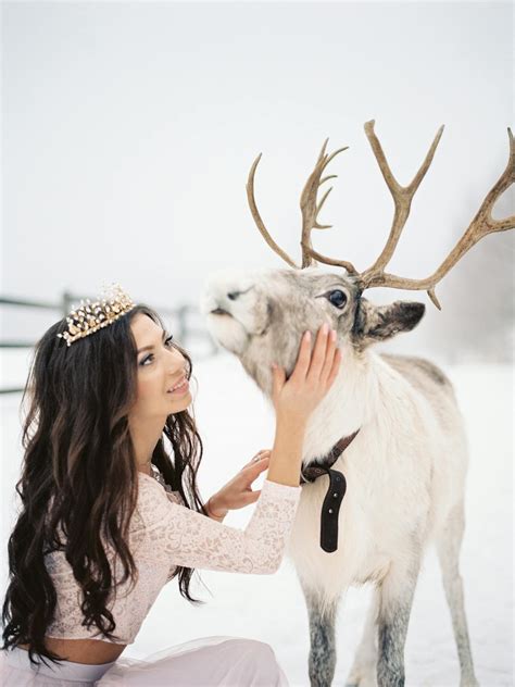 1,000+ Best Reindeer Photos · 100% Free Download · Pexels Stock Photos