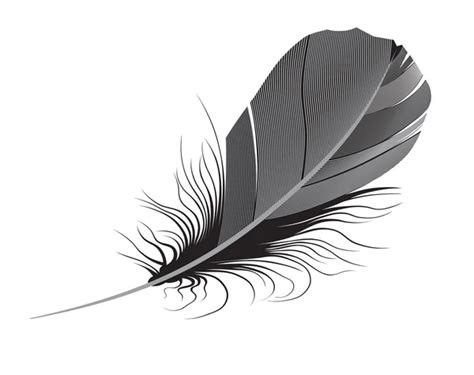 Black Feather Vector Illustration Stock Vector Gurbi4 1132276