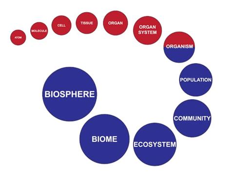 Kslof Coral Reef Education Portal Free Online Ecology Courseliving