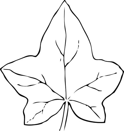 Grape Leaf Template Clipart Best