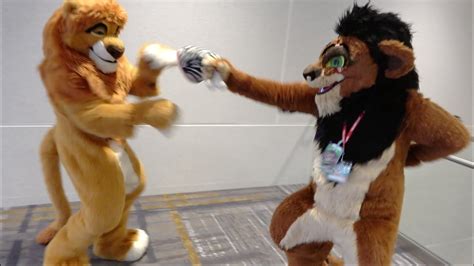 Anthro Northwest 6 (2024) - Mufasa & Scar The Lion King Fursuit Cosplay by Kitwana & Kijani Lion ...