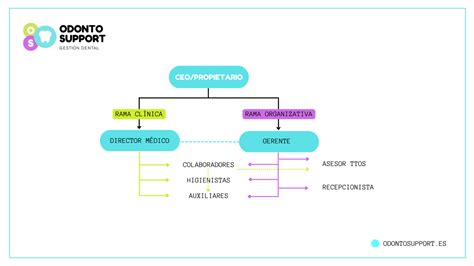 Organigrama De Una Cl Nica Dental Odontosupport