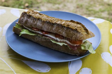 A Lunch In France With A Brie Baguette Stock Photo Image Of Table