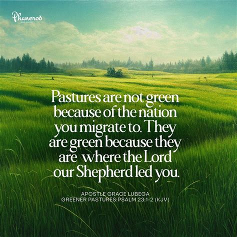 Greener Pastures Phaneroo