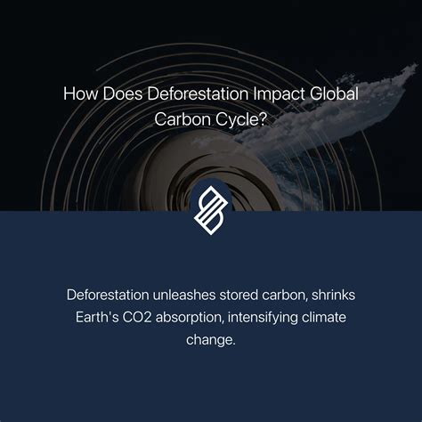 How Does Deforestation Impact Global Carbon Cycle? → Question