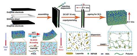 Thermo Responsive And Shape Adaptive Hydrogel Actuators From