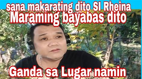 Sana Makarating Dito Si Rheina Ang Daming Bayabas Dito Sa Amin