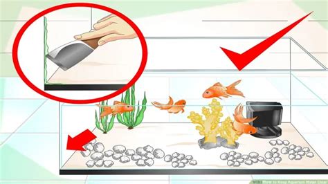 How To Keep The Aquarium Water Clear 7 Easy Tips For Crystal Clear Water