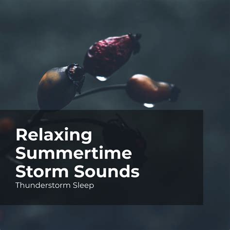 Relaxing Summertime Storm Sounds Album By Thunderstorm Sleep Spotify