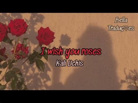 Kali Uchis I Wish You Roses Tradu O Lyrics Tradu O Lyrics