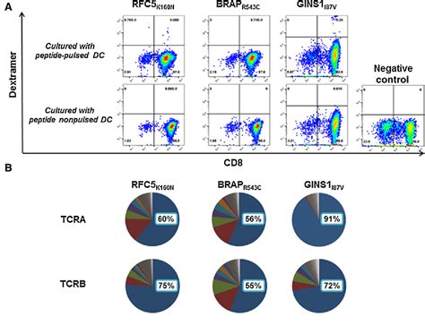 Figure 1 From Induction Of Neoantigen Specific Cytotoxic T Cells And