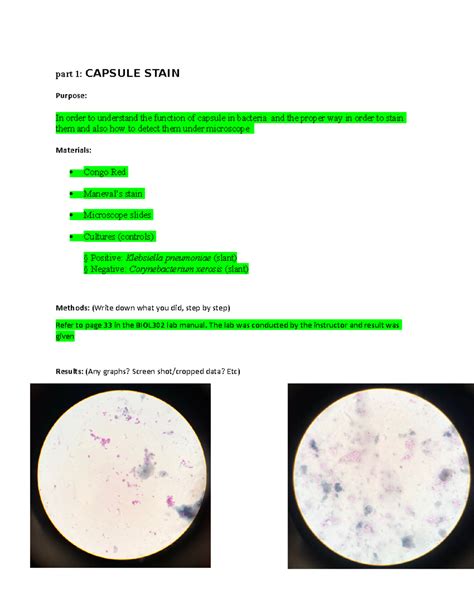 Bacillus Megaterium Acid Fast Stain