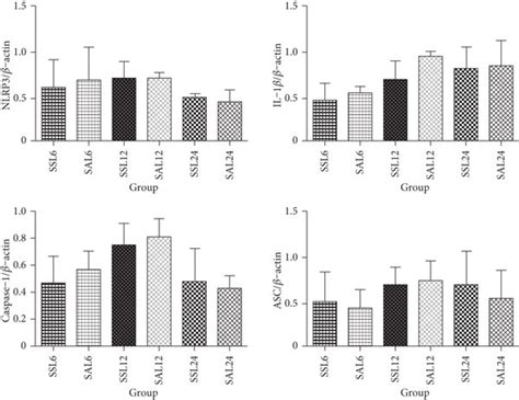 Kidney Nucleotide Binding Domain Like Receptor Protein 3 NLRP3