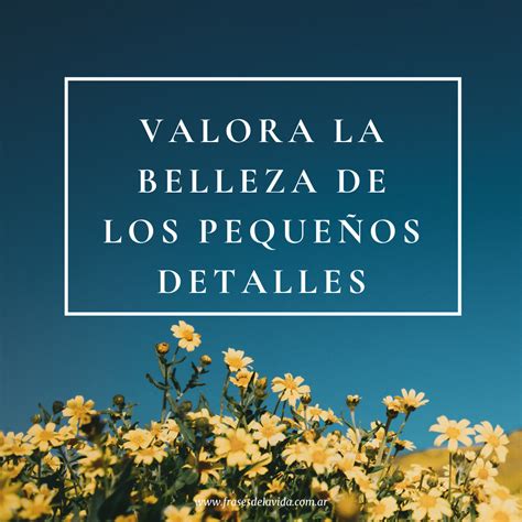 Valora la belleza de los pequeños detalles Frases de la vida