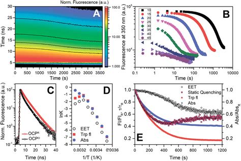 Changes Of Intrinsic Trp Fluorescence Of OCP Associated With OCPR OCPO