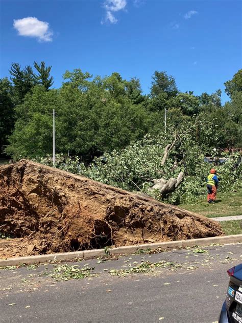 Severe Weather Knocks Down Trees Shuts Off Power For Thousands Wtop News