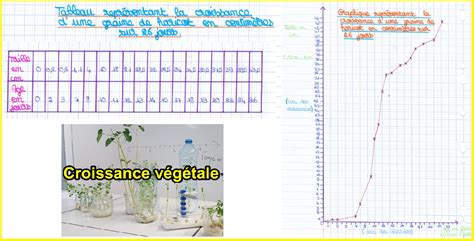 Graphique En Svt Graphique En Svt Cours De SVT 6e Production De