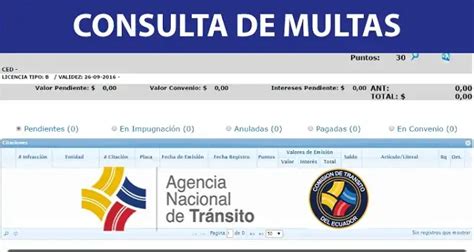 Consultar Multas Transito