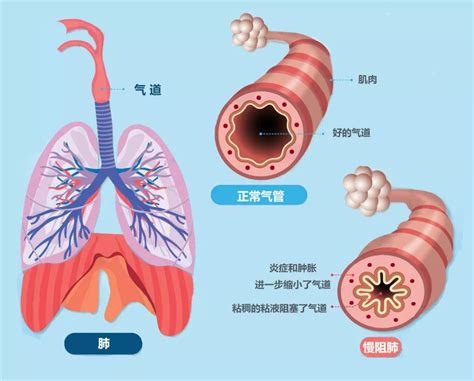 金华市人民医院金华职业技术学院附属医院）