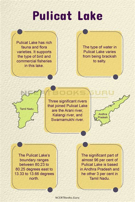 Pulicat Lake History Map System Pollution And Importance Ncert Books