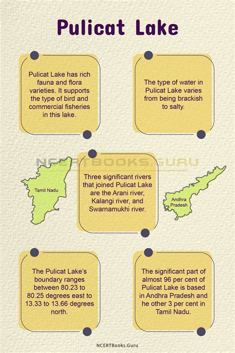 Pulicat Lake History, Map, System, Pollution and Importance - NCERT Books