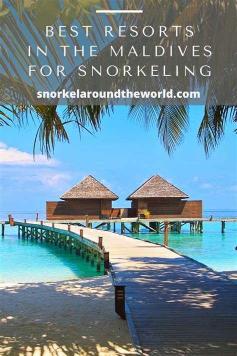 Best Resorts in The Maldives for Snorkeling in 2023