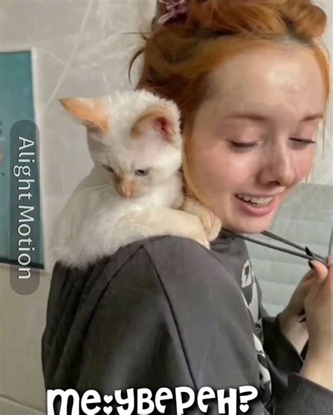 И еще коты Минхо) #вэлл #дайтепоспать #speed #воненизм #вонен #фото # ...