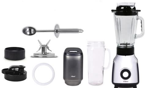 Glass Personal Blender Pgb 5050 By Tribest Zero Plastic Contact