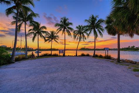 Epic Warm Sunset Coconut Trees Dubois Park In Jupiter Florida Photograph By Kim Seng Fine Art