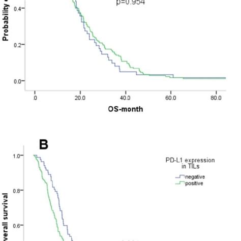 Kaplan Meier Curve Analysis Of Overall Survival Os In Gastric Cancer