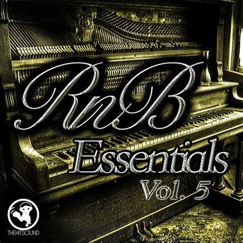 Big Fish Audio RnB Essentials Vol 5 These Must Have Loops Were