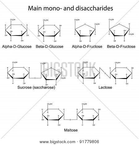 Formulas Main Cyclic Vector Photo Free Trial Bigstock