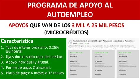 Programa De Apoyo Al Autoempleo Enero 2025